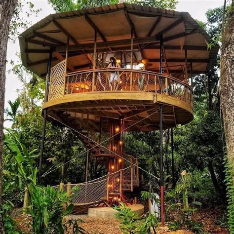 Treehouse of the Royal Palm - Treehouses for Rent in San Germán, Puerto ...