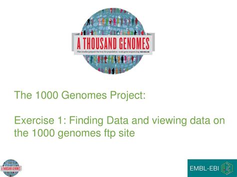 PPT - The 1000 Genomes Project: A Tutorial PowerPoint Presentation, free download - ID:6305980