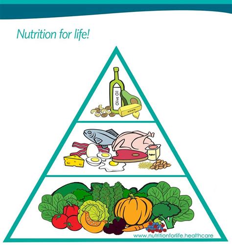 Eating Principles | No Fructose