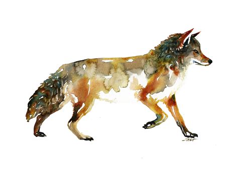 Coyote, Me, Watercolor, 2018 : r/Art