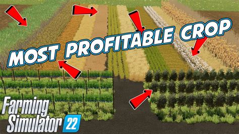 FS22 Most Profitable Crop | Farming Simulator 22 - YouTube