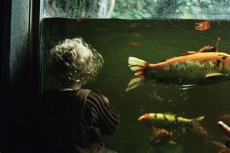 People Visiting An Aquarium · Free Stock Photo