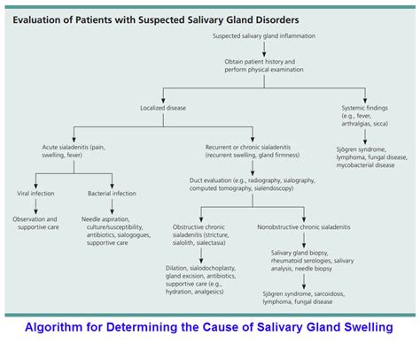 Salivary Gland Disorders – Exodontia