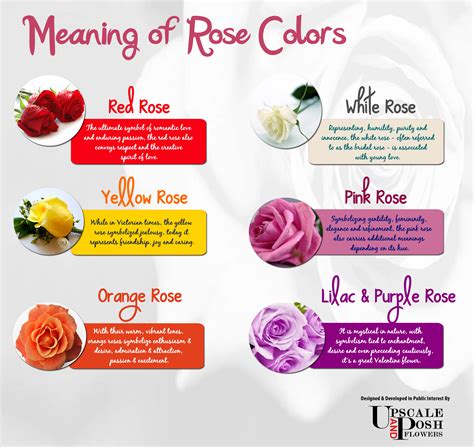 ROSE COLORS AND THEIR MEANINGS Color Meanings, Rose Color, 43% OFF