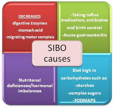 SIBO - Symptoms, Tests, Treatments | Russell Havranek, MD