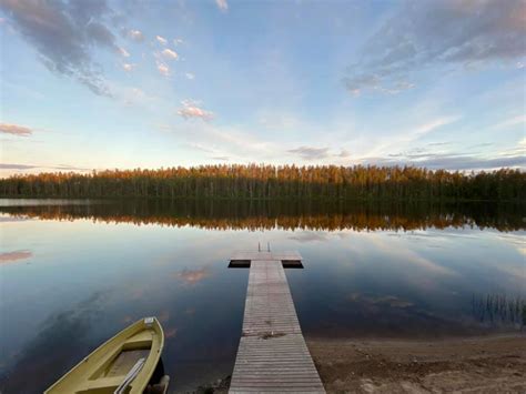 Wildlife Finland