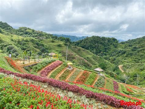 10 MUST-VISIT Attractions in Balamban, Cebu | Sugbo.ph