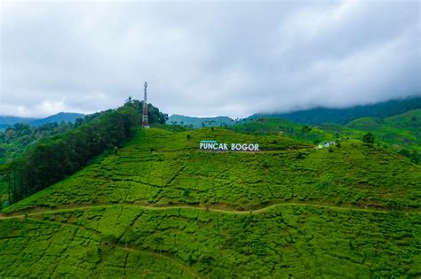 Nikmati Liburan Keluarga yang Menyenangkan di Puncak Bogor