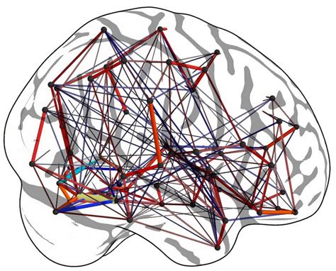 Graph Theory & Machine Learning in Neuroscience | by Mikey Taylor | Medium