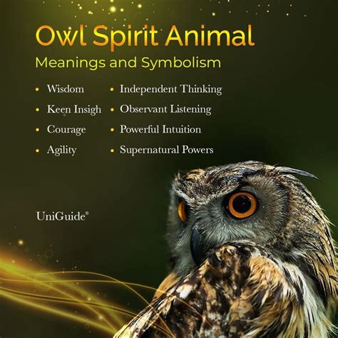 Owl Symbolism & Meaning & the Owl Spirit Animal | Owl spirit animal ...