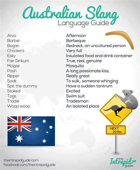 Fascinating History of How the Australian Accent Evolved | Slang language, Australian slang and ...