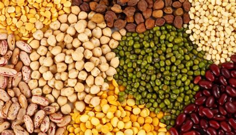 Pulses - Update Odisha-Odisha News I Latest News