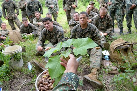 Chinese Military Seeks Jungle Warfare Training From Brazil | IBTimes