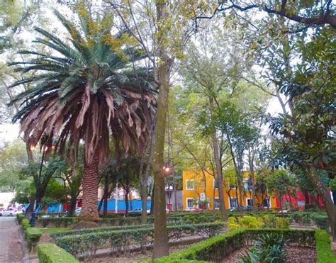 22 Things To Do In Coyoacan, Mexico City – More Than Frida’s House! – Where Goes Rose?