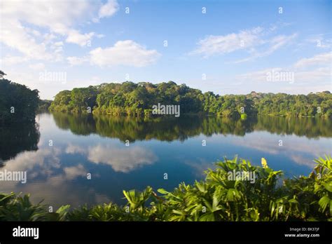 Gatun Lake, Panama Canal, Panama, Central America Stock Photo - Alamy