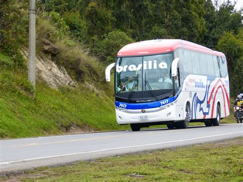 Expreso Brasilia 7417 | Buses de Colombia - Oficial