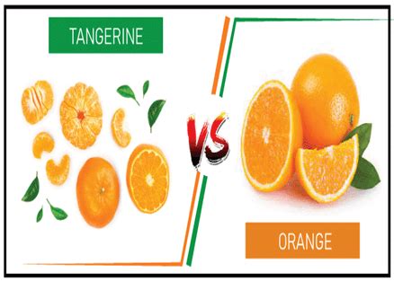 Difference Between Orange and Tangerine - javatpoint