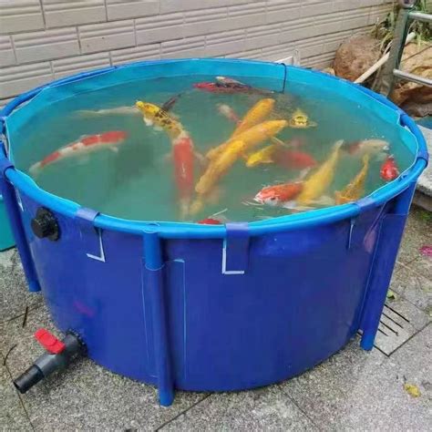 Plastic Fish Tanks for Catfish Farming - Fish Tank and Water Tank