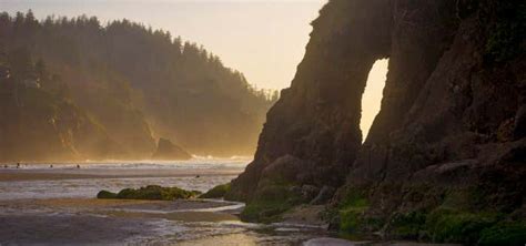 Neskowin Beach, Neskowin | Roadtrippers