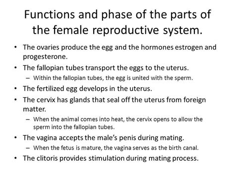 female reproductive system diagram with its functions - Science - How do Organisms Reproduce ...