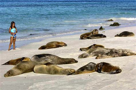 World Visits: Galapagos Islands Pacific Ocean