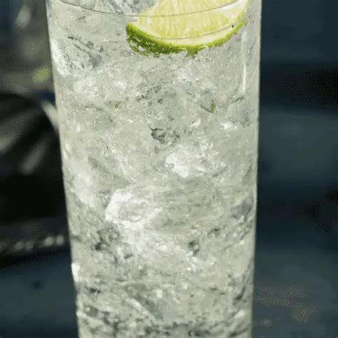 Vodka Tonic Cocktails: 10 Delicious Drinks To Try Tonight!