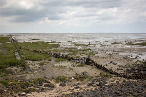 The Wadden Sea at Norden, Germany