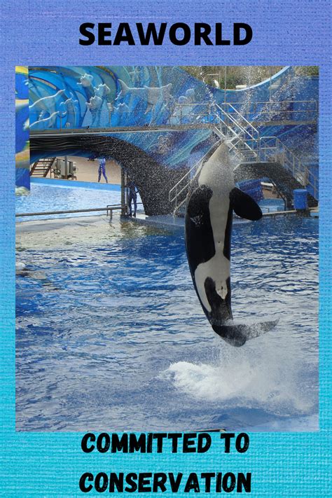 We loved our trip to SeaWorld. I was surprised to learn about their commitment to conservation ...