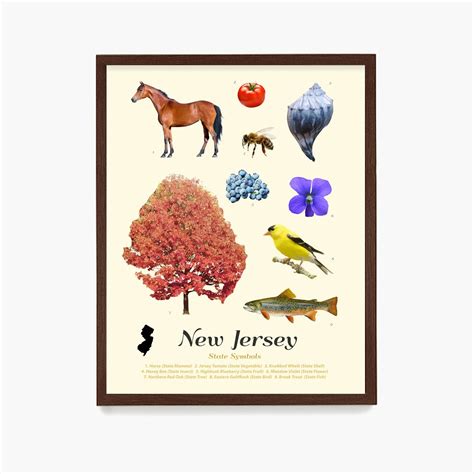 New Jersey State Symbols Poster New Jersey Art New Jersey - Etsy Australia