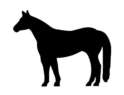 Halter Horse Clipart