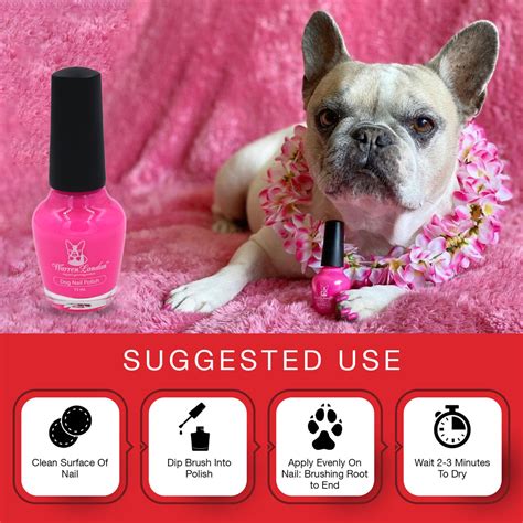 Dog Nail Polish - Polish Bottles with Brush – Warren London