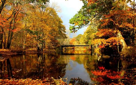 HD Autumn Lake Wallpaper | Download Free -57731 | Autumn lake, New ...