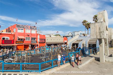 » Muscle Beach Gym