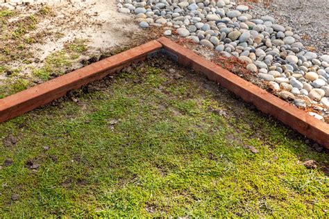 How to Make a Garden Border With Wood | 5 Steps Guide (2024)