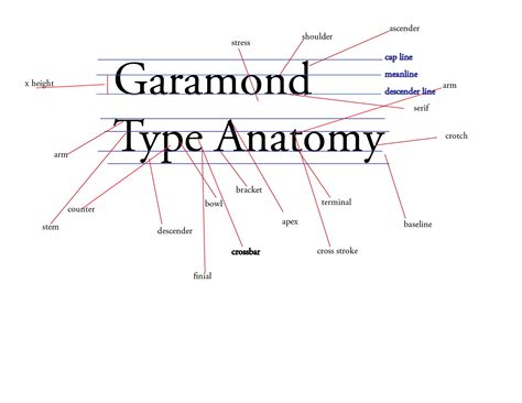 D's Type: Garamond type anatomy