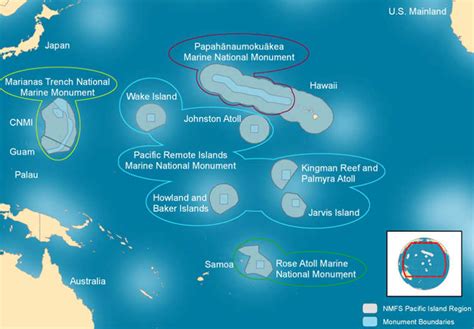 Wake atoll national wildlife refuge - dogkesil