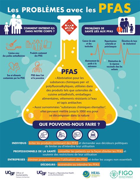 Health and Environment Alliance | How PFAS chemicals affect women ...