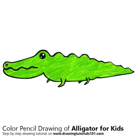 Alligator Drawing Simple