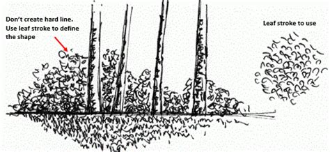 How to Draw a Bush with Pen and Ink - Pen and Ink Drawings by Rahul Jain