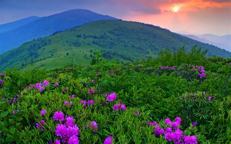 Green Mountains, Vermont : pics