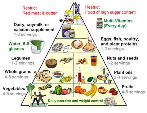 Healthy food pyramid - lopisecure