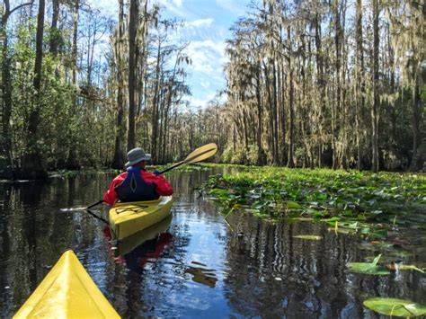 15 Best Things to Do in Valdosta (GA) - The Crazy Tourist