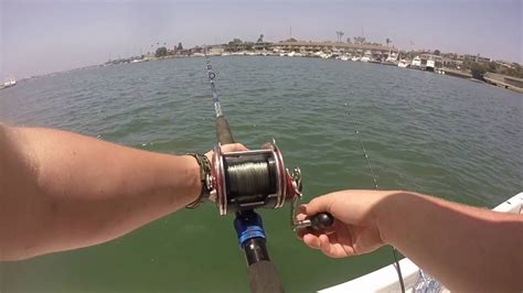 Fishing Newport harbor - YouTube