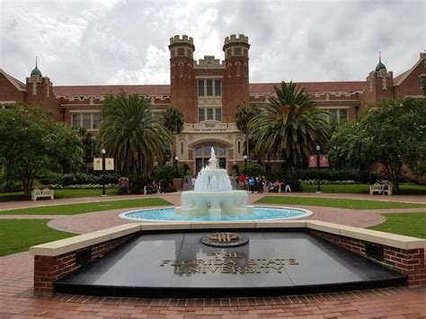 Florida State University - 98 Photos & 23 Reviews - Colleges ...