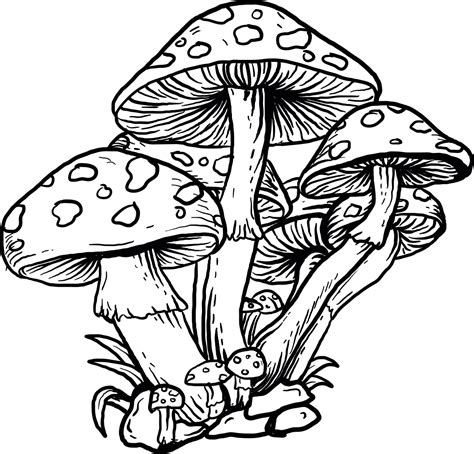 Hand drawn illustration mushroom t-shirt - TenStickers