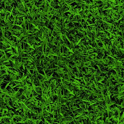 Download texture: green grass, background, texture, download photo ...