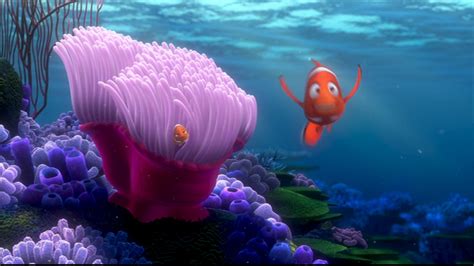 Finding Nemo - Disney Photo (33585922) - Fanpop - Page 11