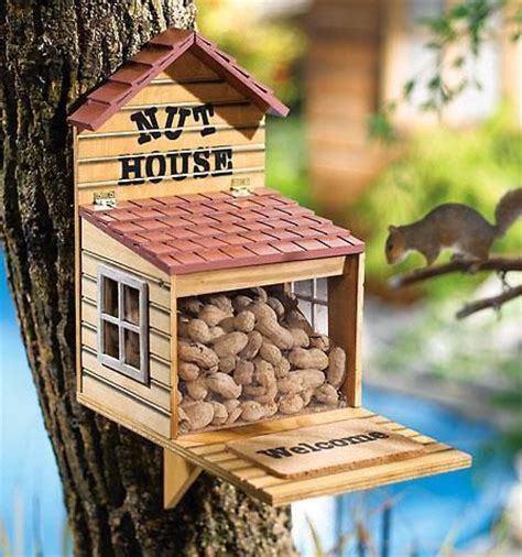 17 Best images about squirrel feeder on Pinterest | Bird feeders, The ...