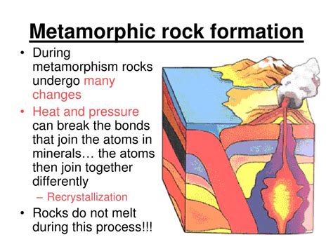 Sedimentary Rock Metamorphic Rock