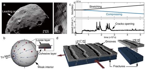 Phobos surface striations tell a story of its rupturing interior